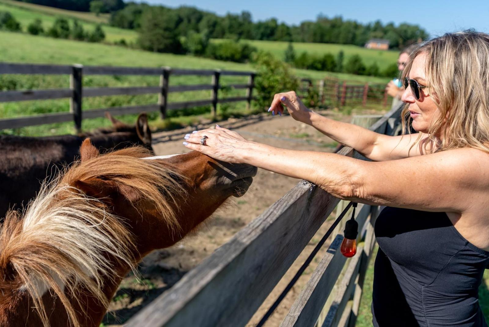 ルーレイ Madeline Farmsヴィラ エクステリア 写真