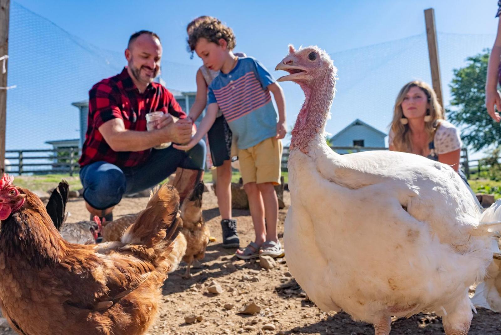 ルーレイ Madeline Farmsヴィラ エクステリア 写真